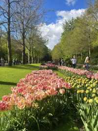 Keukenhof: A Blooming Wonderland in the Heart of the Netherlands