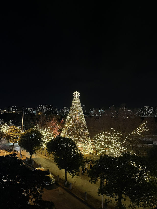 【東京イルミネーション】お台場海浜公園