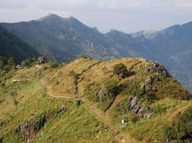 Doi Pha Tang ดอยผาตั้ง เที่ยวดอยเชียงราย