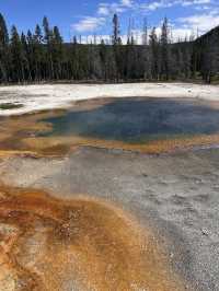 Yellowstone 🌴🏕️