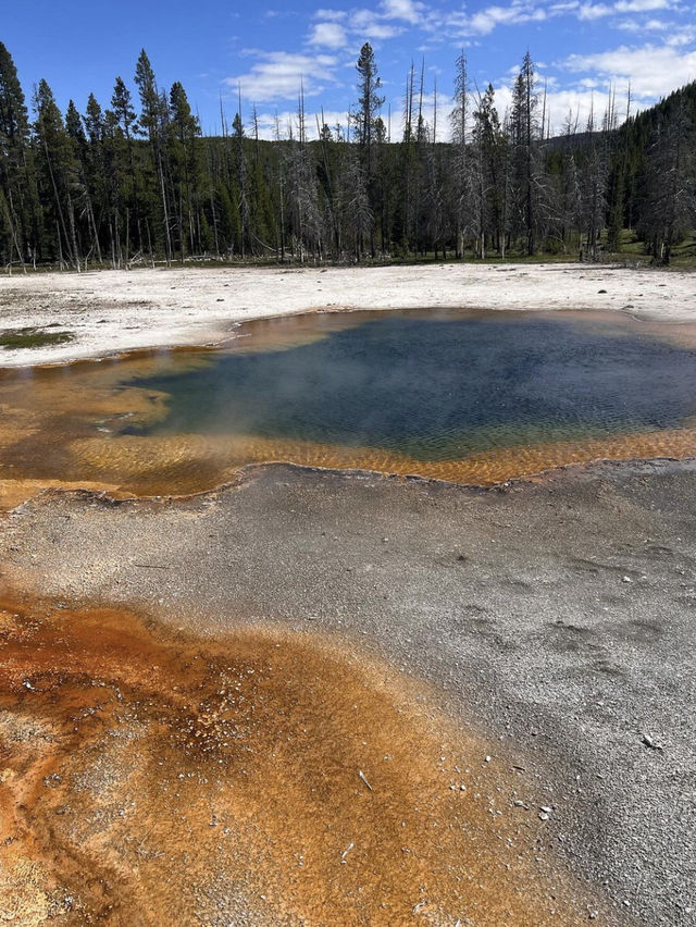 Yellowstone 🌴🏕️