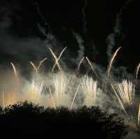 Fantastic fireworks display in Alexandra Palace Park