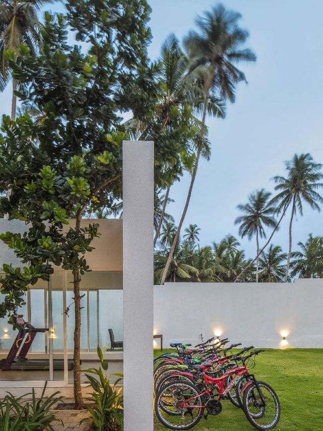 🌴🛏️ Serendivi Resort: Sri Lanka's Luxe Escape 🏖️🌟