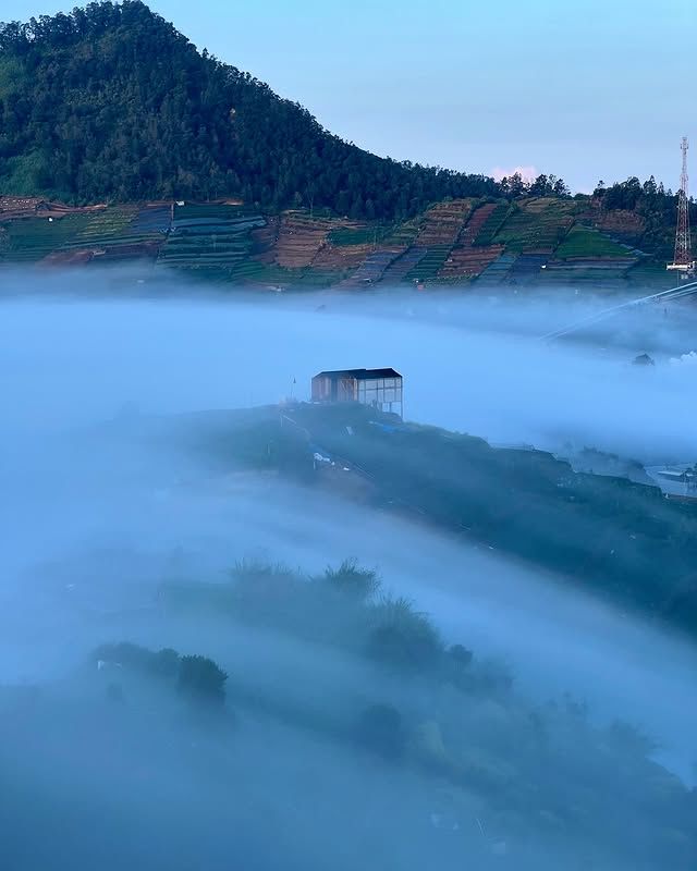 永平花園——泗務的寧靜綠洲。