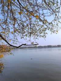 【西湖遺夢】杭州郭莊，探訪西湖邊的古典園林