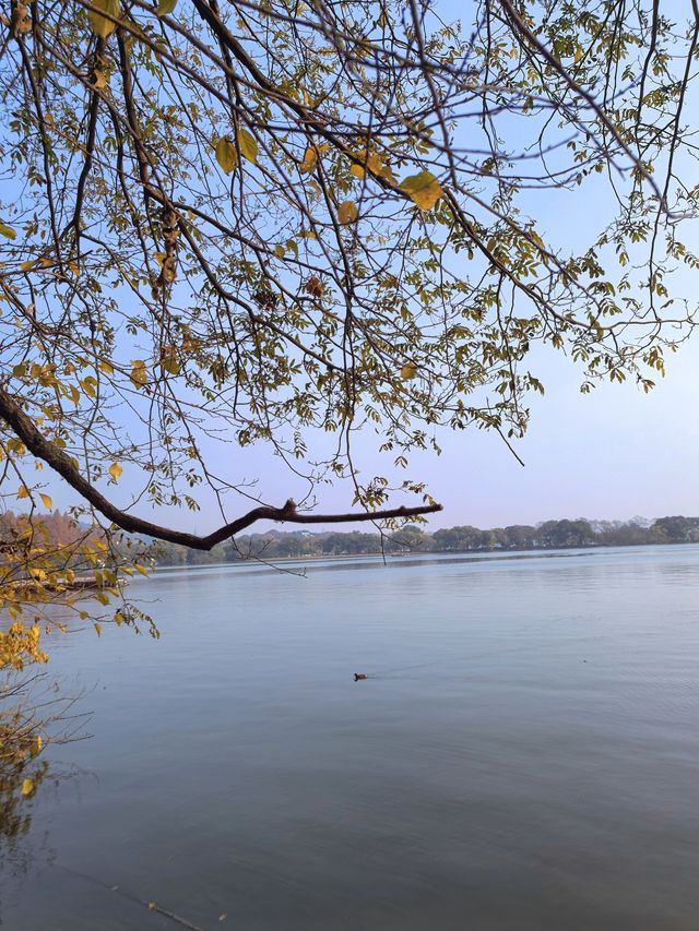 【西湖遺夢】杭州郭莊，探訪西湖邊的古典園林