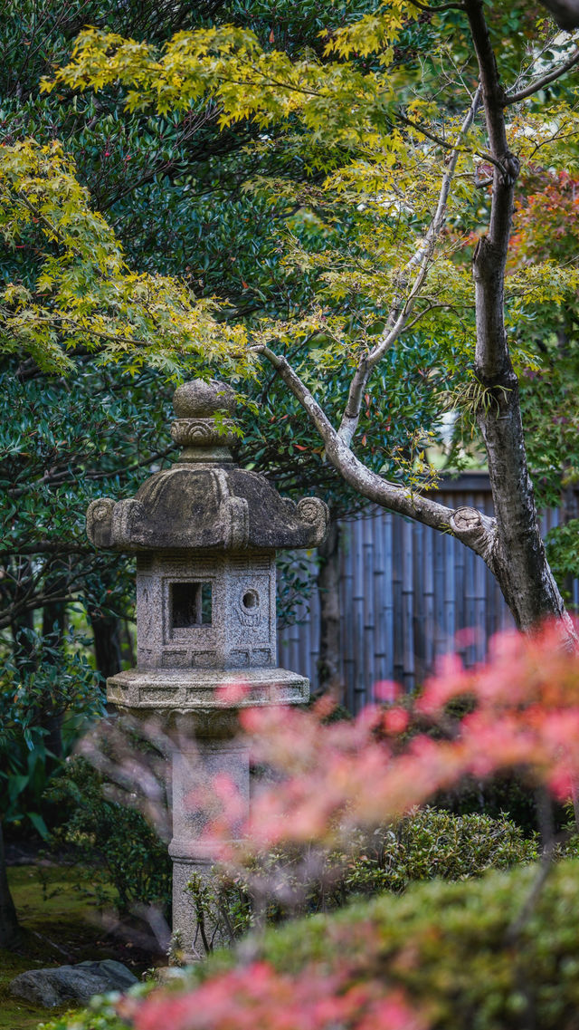 大濠公園日本庭院｜來這裡拍照吧