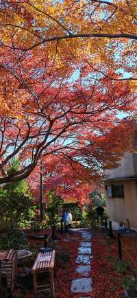 【最美紅葉季】京都檀林寺：寂靜的熱鬧的休養生息的…暖意