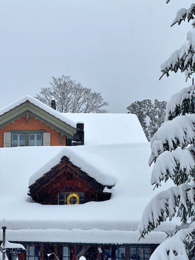 瑞士少女峰格林德瓦 First 滑雪