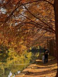 我宣布！這就是上海最寧靜的公園