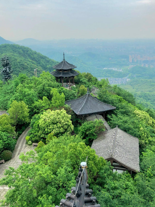 杭州半山國家森林公園——隱藏於城市中的自然風光！