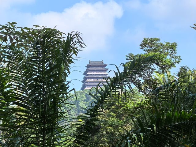 雲月湖風光