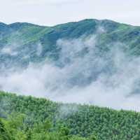 莫干山：雲間翠影，避暑天堂