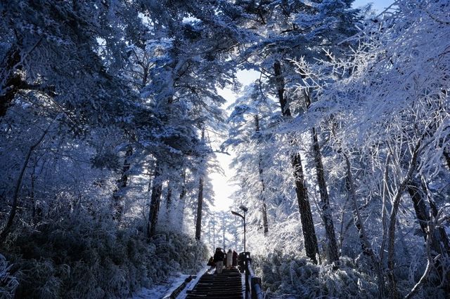 【雪域峨眉】冬季峨眉山，探秘冰雪世界的佛教聖地