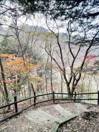 內藏山：韓國八大美景行山賞楓很減壓