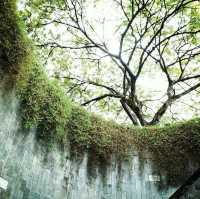 Very Beautiful Garden at Fort Canning Park in Singapore