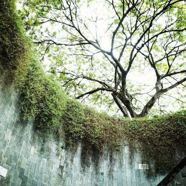 Very Beautiful Garden at Fort Canning Park in Singapore