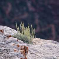 Grand Canyon: Nature’s Majestic Masterpiece