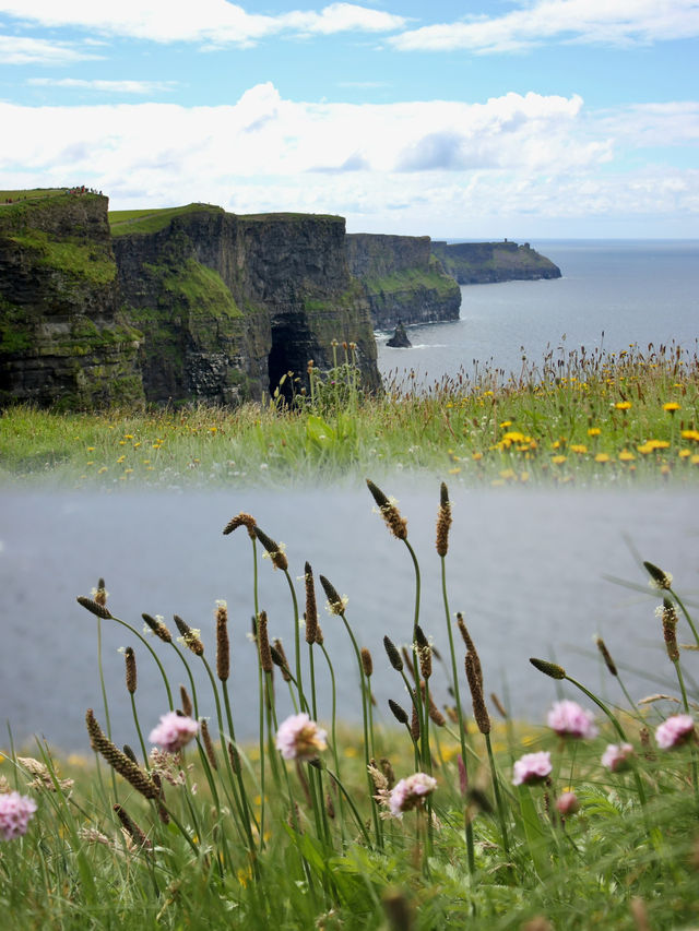 Wild and Windswept: A Summer Visit to the Cliffs of Moher