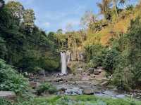 Thrilling Nature Escape at Tegenungan Waterfall