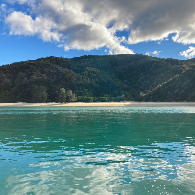 Unleashing Wonder in Abel Tasman