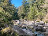 A Tranquil Adventure in Abel Tasman National Park