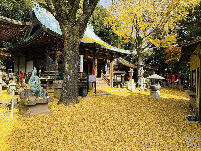 【神戸観光】再度公園