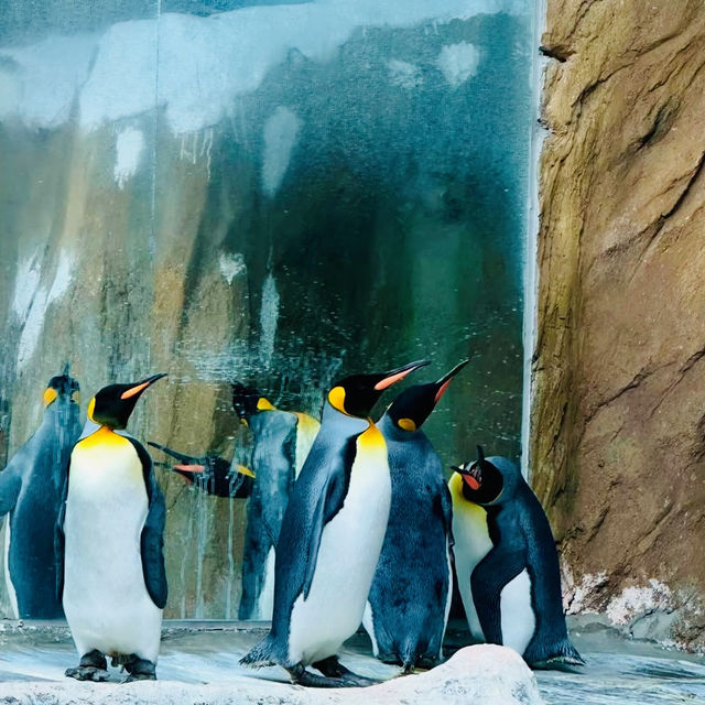 動物樂園的奇妙之旅 — 走進台北市立動物園