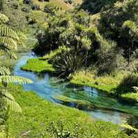 Crystal Clear Magic: Blue Springs, Putaruru