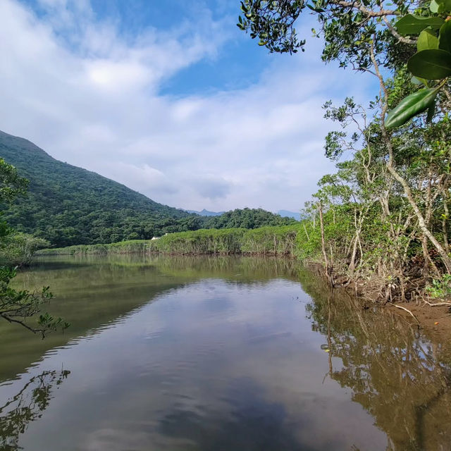 Traverse the Scenic Wonders of Nam Chung on the Wilson Trail