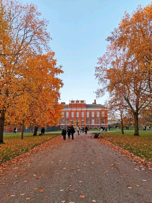 Autumn walk in St James Park 🍁🍂🍁🍂