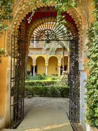 Las Duenas Palace - Seville, Spain