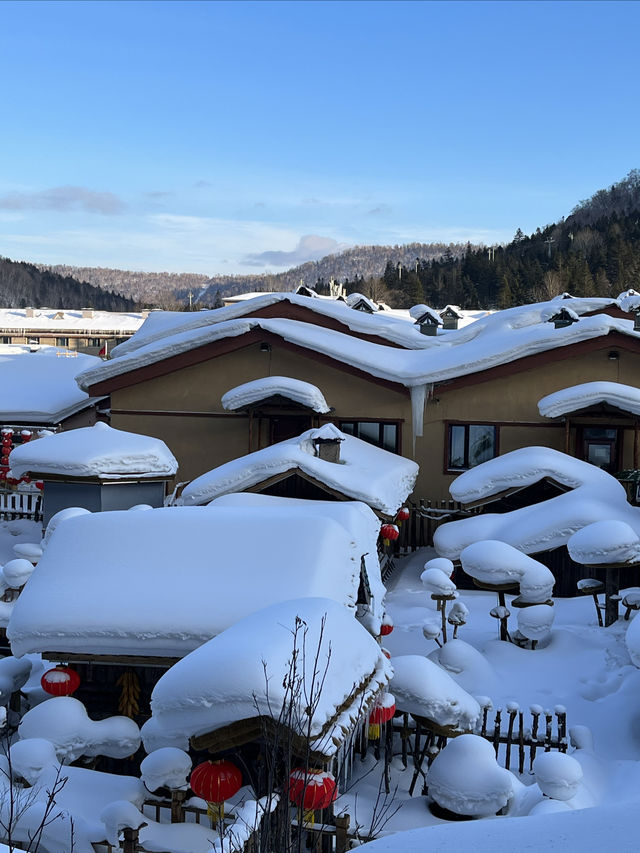 沒約上哈爾濱冰雪大世界，這些地方也不錯！