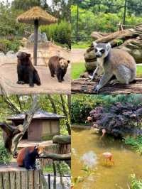 雲南野生動物園一日遊