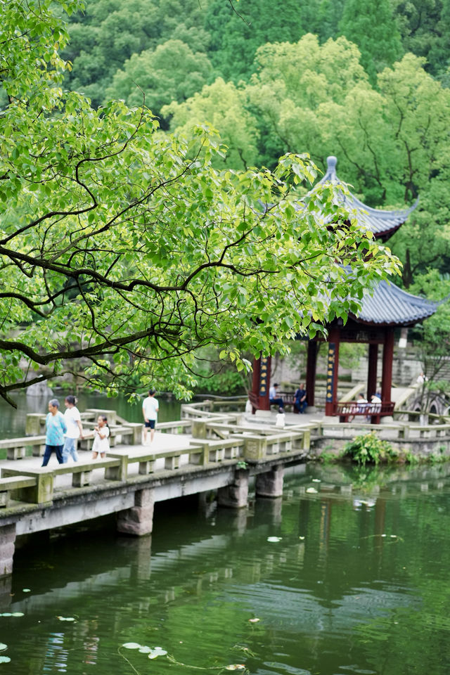 浪漫泸州｜藏在忠山公園的松弛感