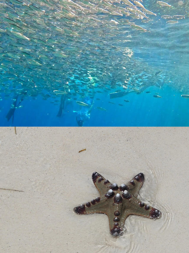 人生建議：一生一定要去的海島薄荷島