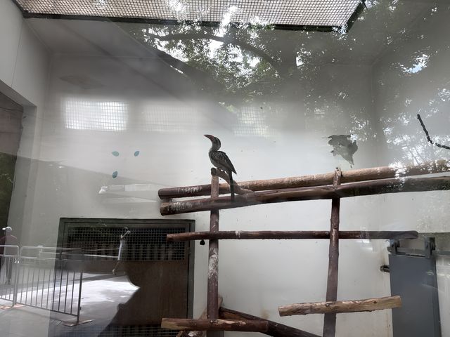 中國開放最早的動物園——北京動物園