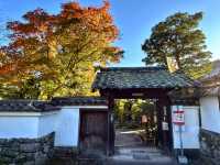 醍醐離宮，臨濟禪寺。