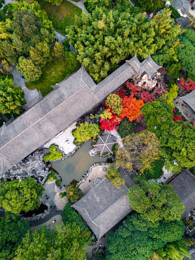 個園綺夢，江南園林的詩情畫意