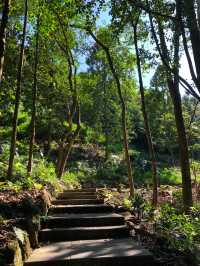 深圳登山—梧桐山（九）