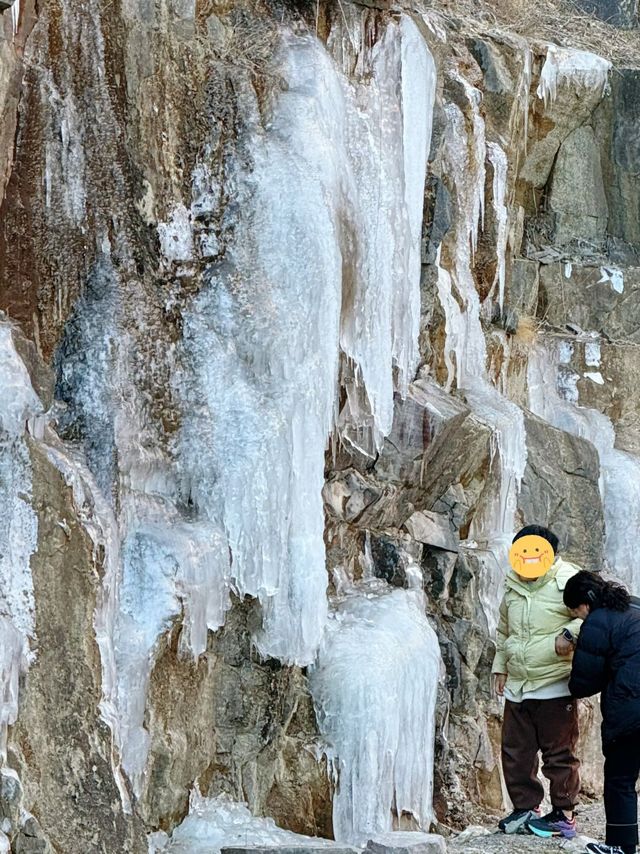 冬季賞雪 |  哈爾濱香爐山看冰掛攻略，必打卡