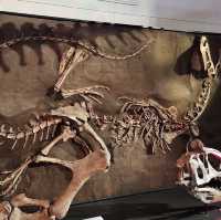 Great Display of Dinosaurs 