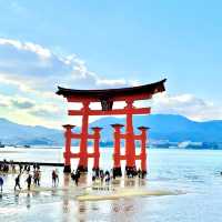 Mystical Serenity: exploring the floating Torii Gate! 🏯✨🌊