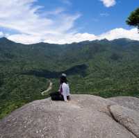 Emerald Isle of the Gods: Yakushima's Pristine Paradise