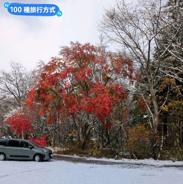 賞楓途中遇到雪！白雪覆蓋的夢幻蔦溫泉