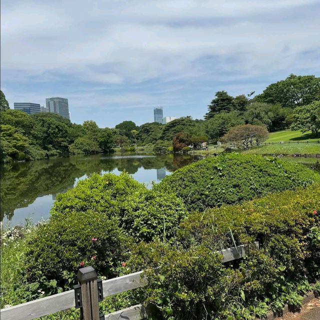 Shinjuku Gyoen National Garden (Tokyo)