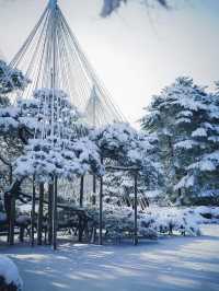 【雪の兼六園】冬旅のおすすめ兼六園