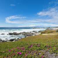 Monterey: Where Coastal Beauty Meets Timeless Charm