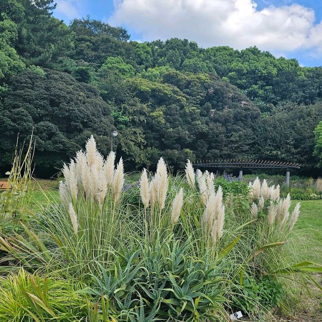 Yoyogi Park