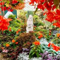 Tranquility in Bloom at Fitzroy Gardens 